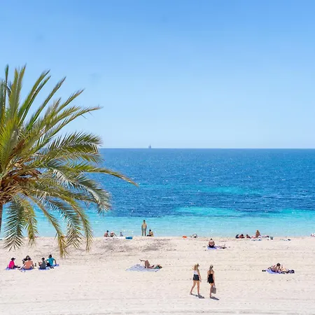 Flamboyan Caribe & Magaluf (Mallorca)