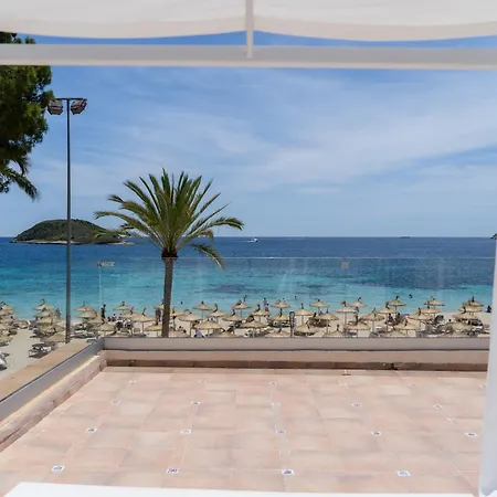 Flamboyan Caribe & Magaluf (Mallorca)